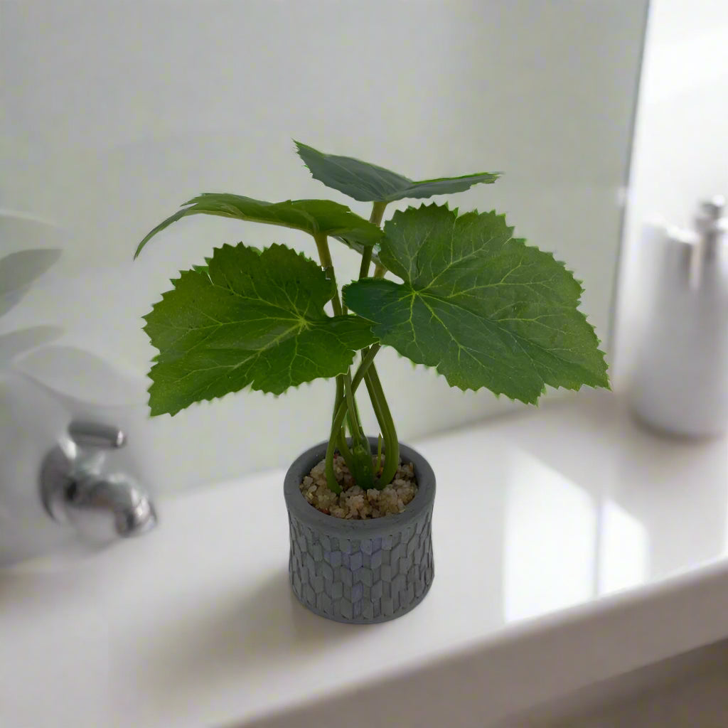 نبتة صناعية صغيره بوعاء جبس(٦سم)