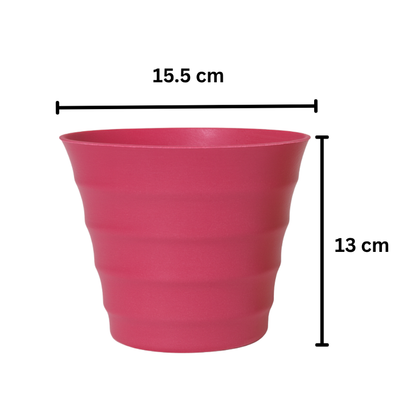 قوار ريبلي جلو الملون – ١٥٫٥ سم