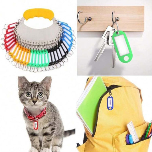 مجموعة ميداليات بيسك ملونه عدد ٦ قطع