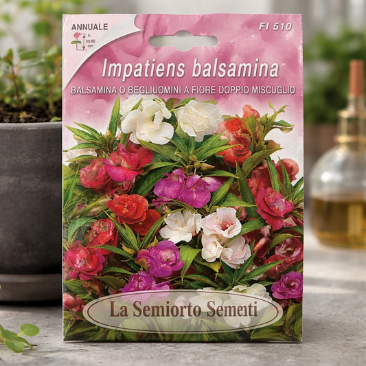 بذور زهرة البلسم