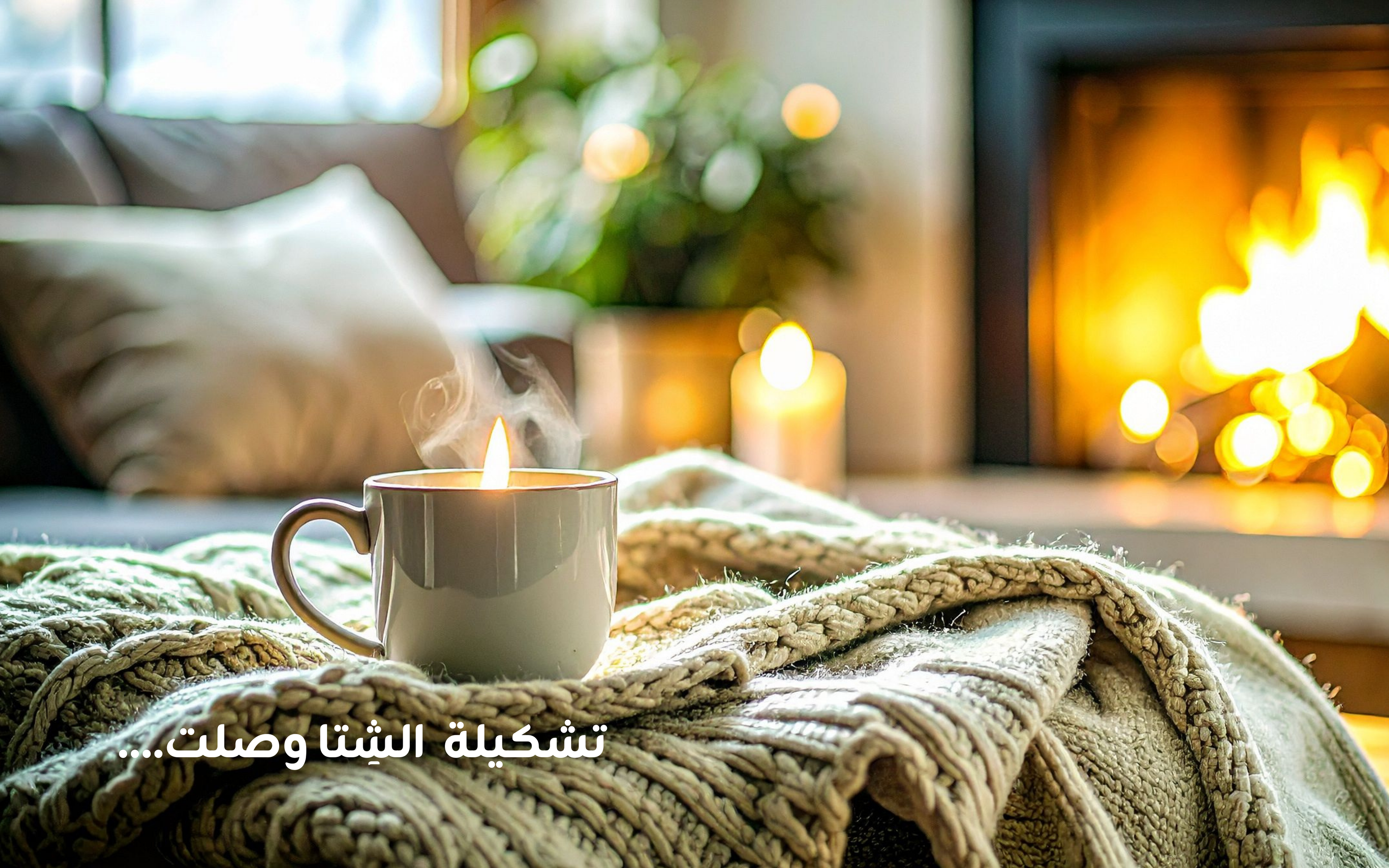 جودي سو – JODISO, image size:3840x2400