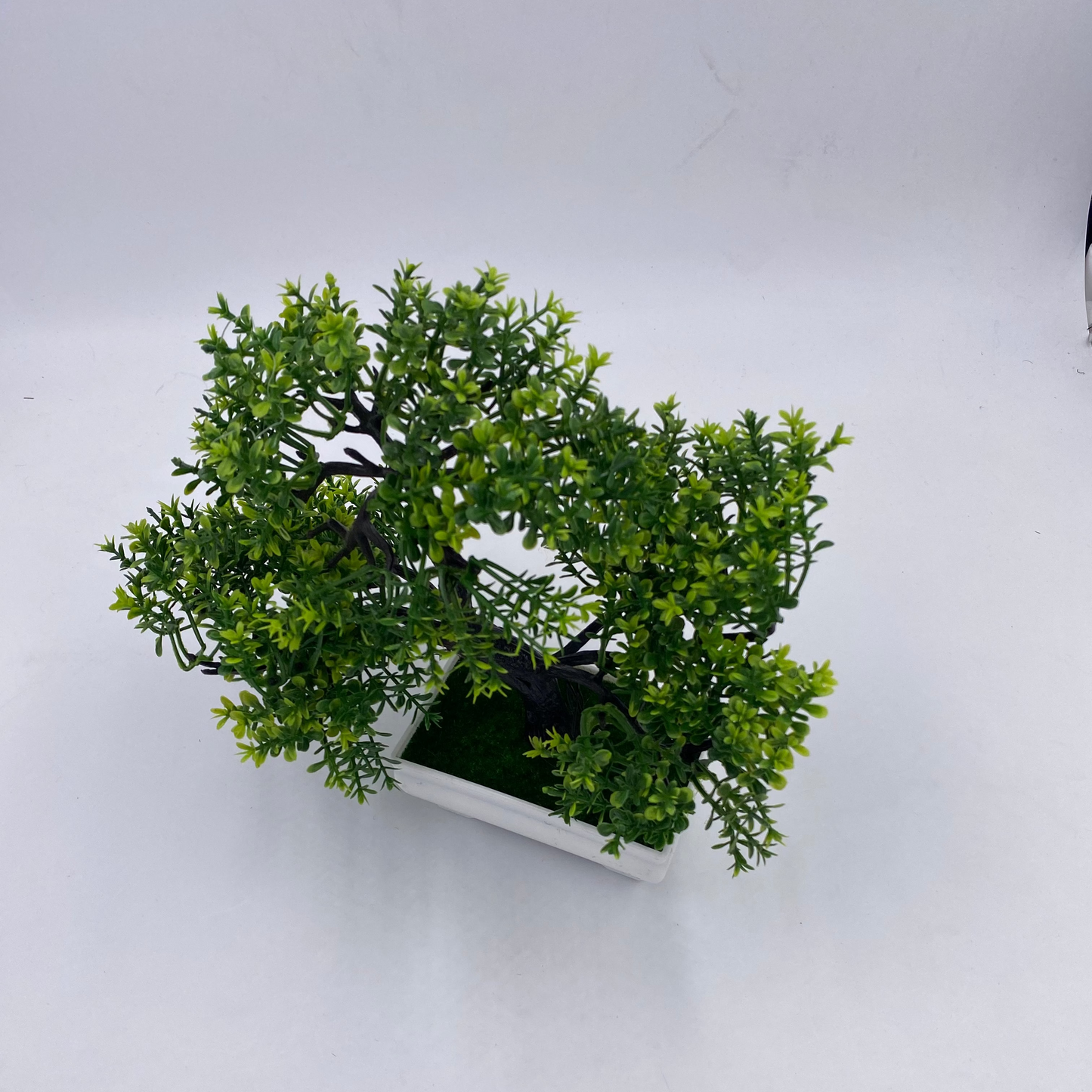 شجرة بونساي ديكور لمسة خضار رايقة 🌿