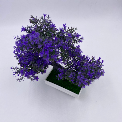 شجرة بونساي ديكور لمسة خضار رايقة 🌿