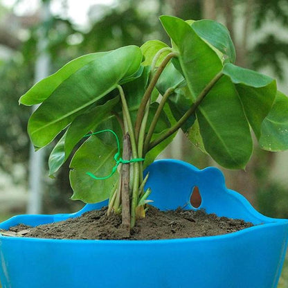 (15m)رباط سلكي لتثبيت النباتات في الحدائق متعدد الاستخدامات