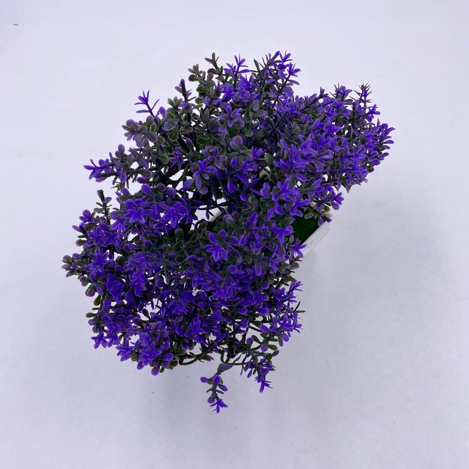 شجرة بونساي ديكور لمسة خضار رايقة 🌿