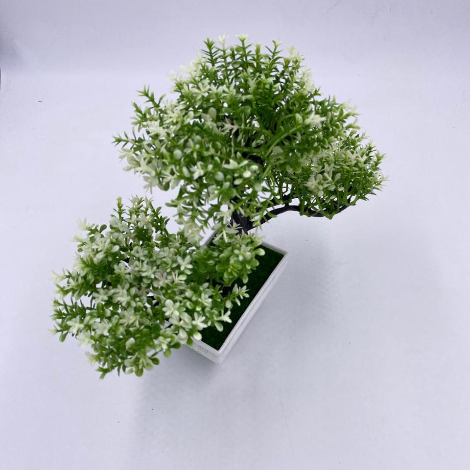 شجرة بونساي ديكور لمسة خضار رايقة 🌿