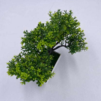 شجرة بونساي ديكور لمسة خضار رايقة 🌿